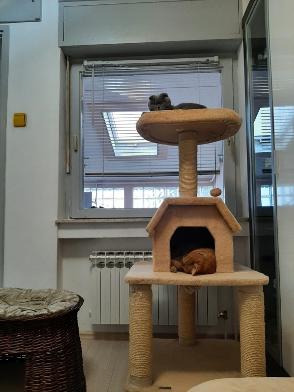 vesnahunjadi uploaded   4 year/s ago