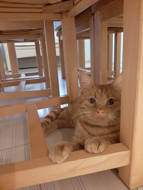 vesnahunjadi uploaded   4 year/s ago