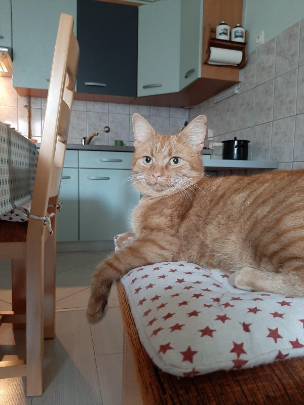 vesnahunjadi uploaded   4 year/s ago