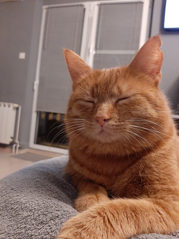 vesnahunjadi uploaded   3 year/s ago