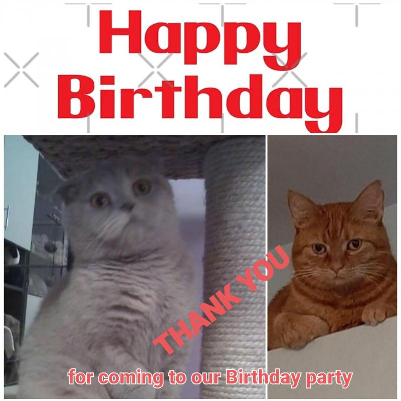 Max of the vesnahunjadi family