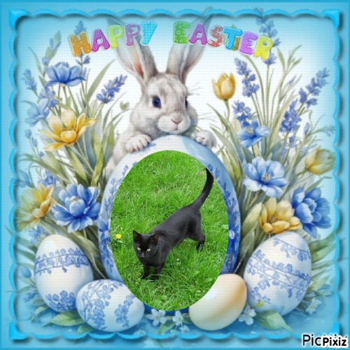 zoza1958 uploaded   6  day/s  ago