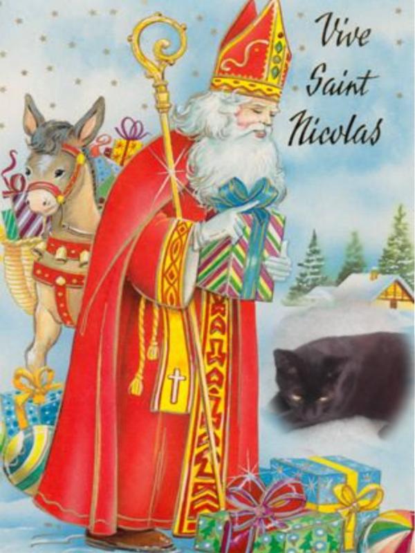 Queen Buvica of the zoza1958 family