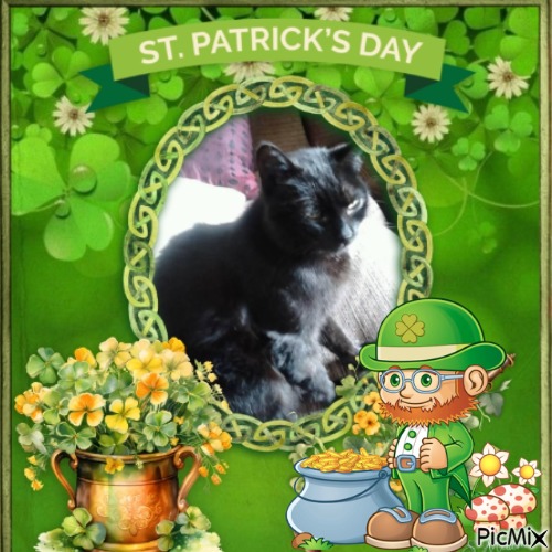 Queen Buvica of the zoza1958 family