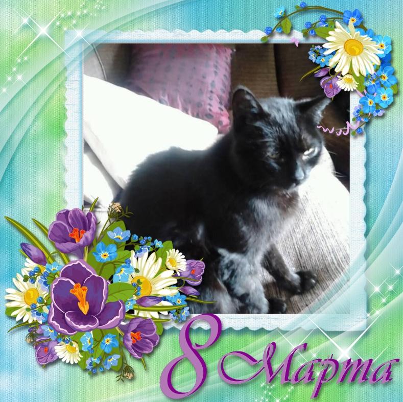 Queen Buvica of the zoza1958 family