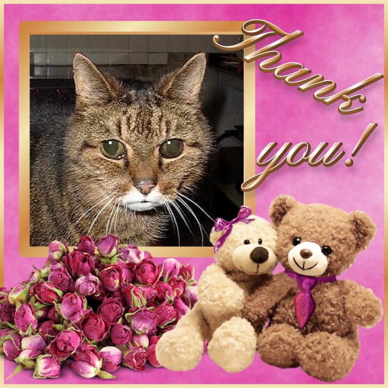 zoza1958 uploaded   315  day/s  ago