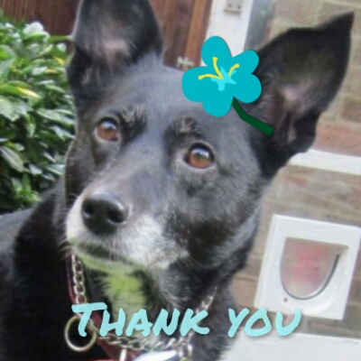 Queen  Miu Miu of the zoza1958 family