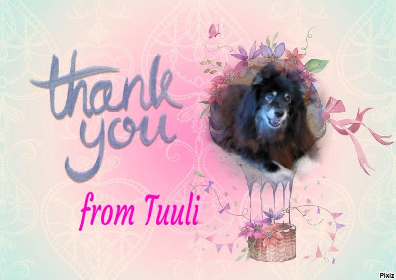 zoza1958 uploaded   48  day/s  ago