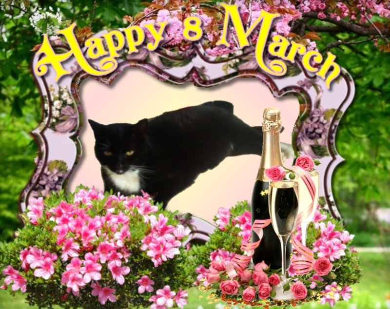 zoza1958 uploaded   45  day/s  ago