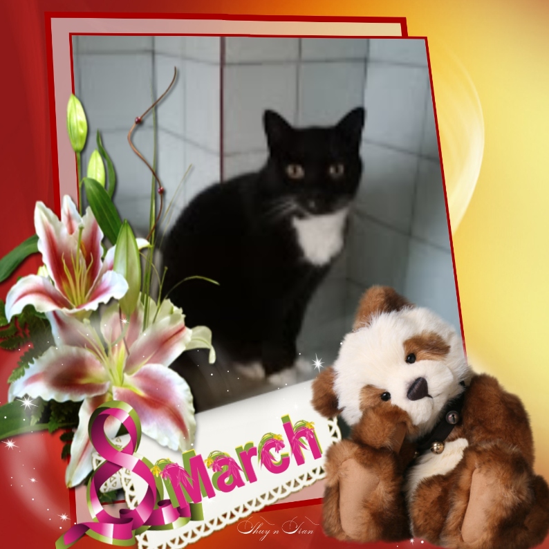 zoza1958 uploaded   45  day/s  ago