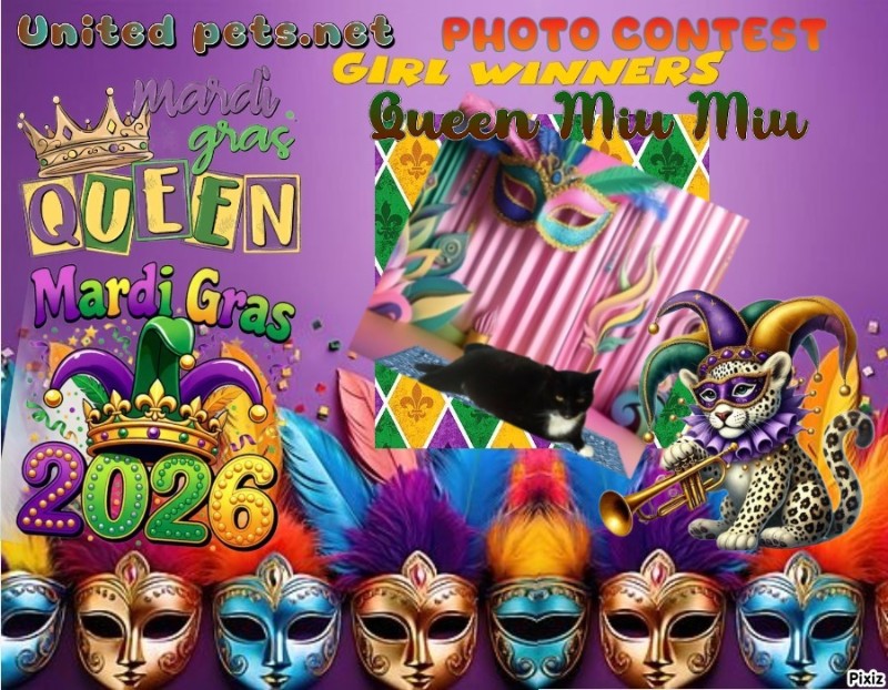 Queen  Miu Miu of the zoza1958 family