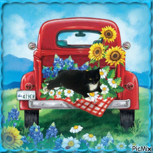 zoza1958 uploaded   45  day/s  ago