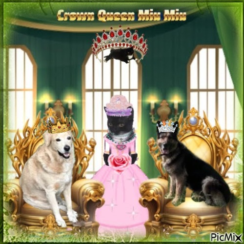 zoza1958 uploaded   96  day/s  ago