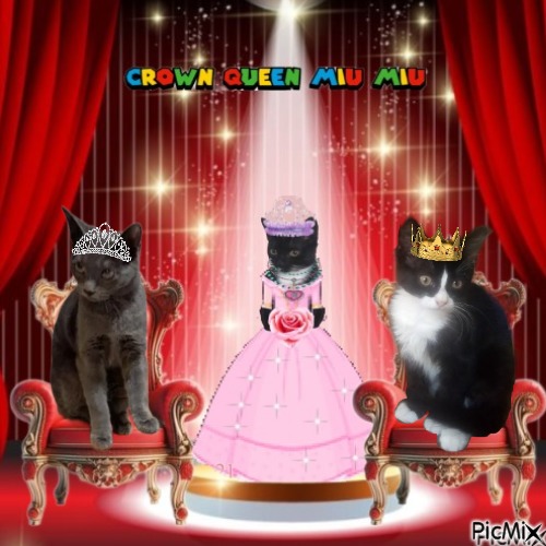 Queen  Miu Miu of the zoza1958 family