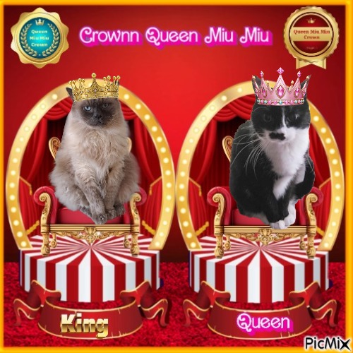 Queen  Miu Miu of the zoza1958 family