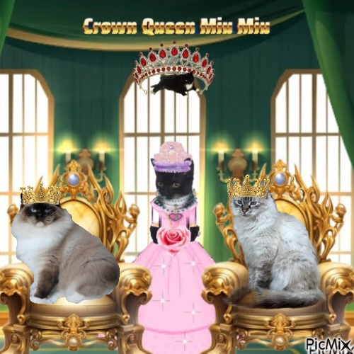 Queen  Miu Miu of the zoza1958 family