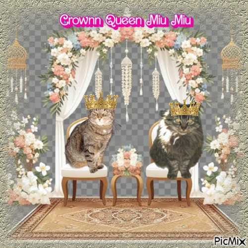 zoza1958 uploaded   16  day/s  ago