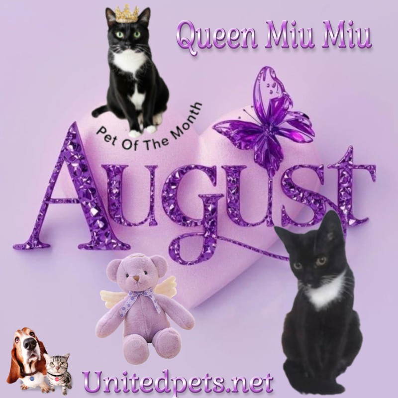 Queen  Miu Miu of the zoza1958 family