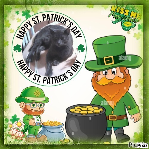 King Dacho of the zoza1958 family