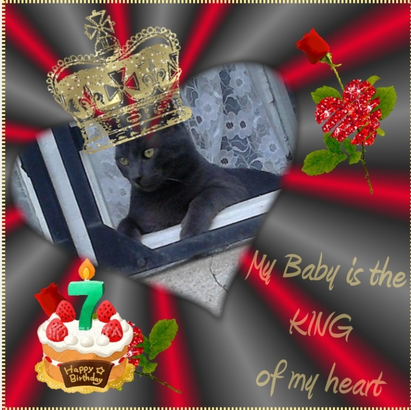 King Dacho of the zoza1958 family
