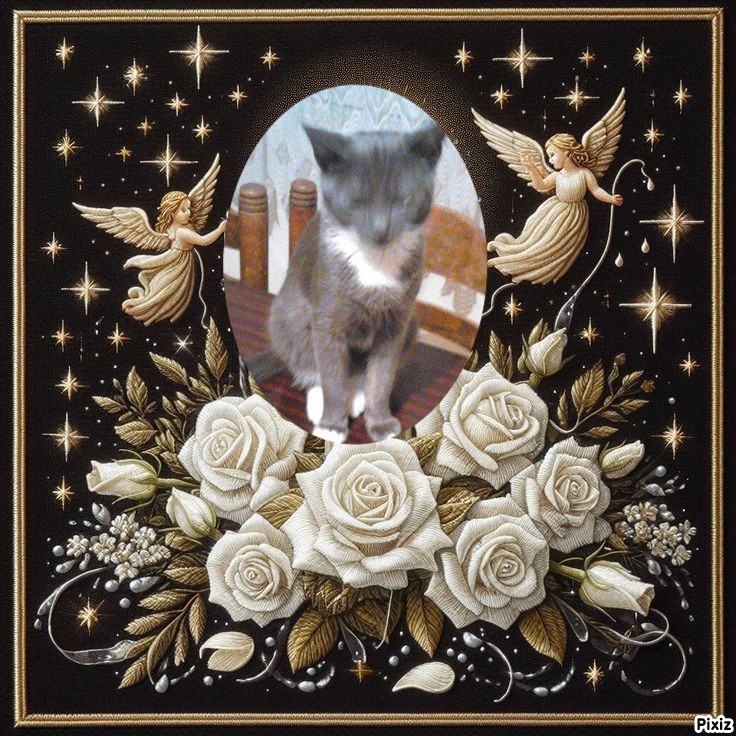 zoza1958 uploaded   34  day/s  ago