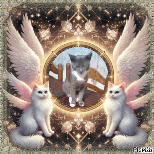 zoza1958 uploaded   33  day/s  ago