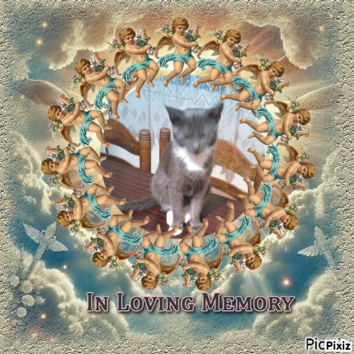 zoza1958 uploaded   33  day/s  ago