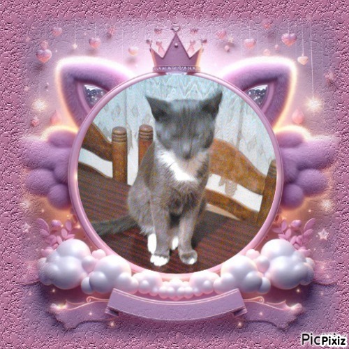 zoza1958 uploaded   33  day/s  ago