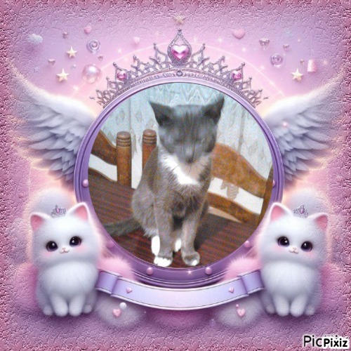 zoza1958 uploaded   33  day/s  ago