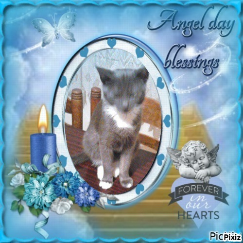 zoza1958 uploaded   33  day/s  ago