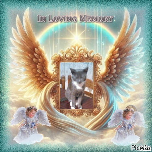 zoza1958 uploaded   33  day/s  ago