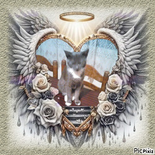 zoza1958 uploaded   33  day/s  ago