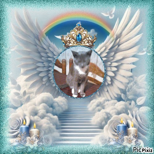 zoza1958 uploaded   33  day/s  ago