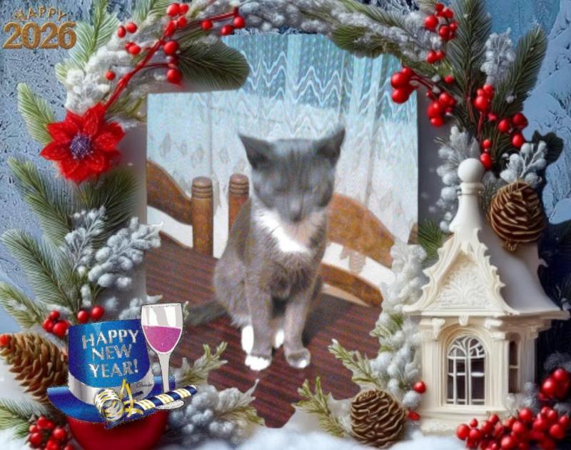 Prince Toso of the zoza1958 family