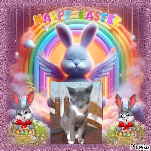 zoza1958 uploaded   6  day/s  ago