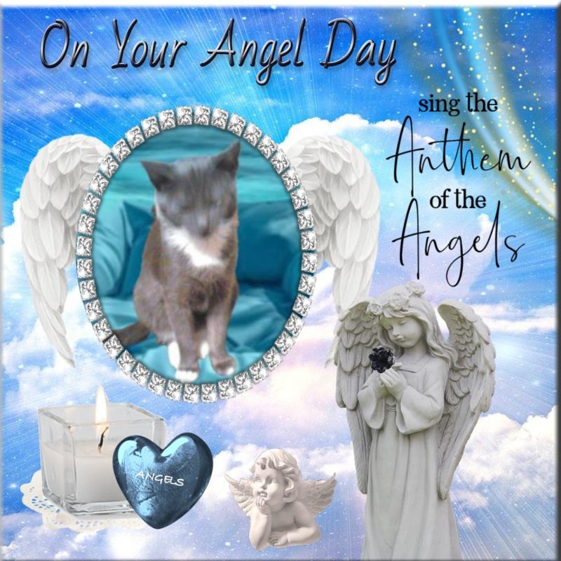 zoza1958 uploaded   33  day/s  ago