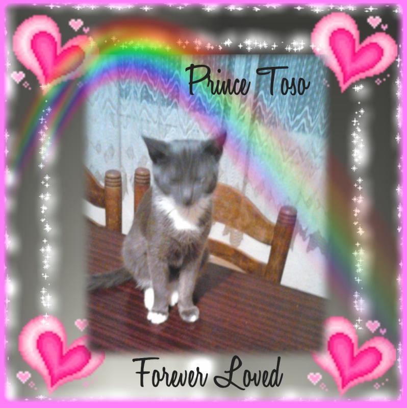 zoza1958 uploaded   17  day/s  ago