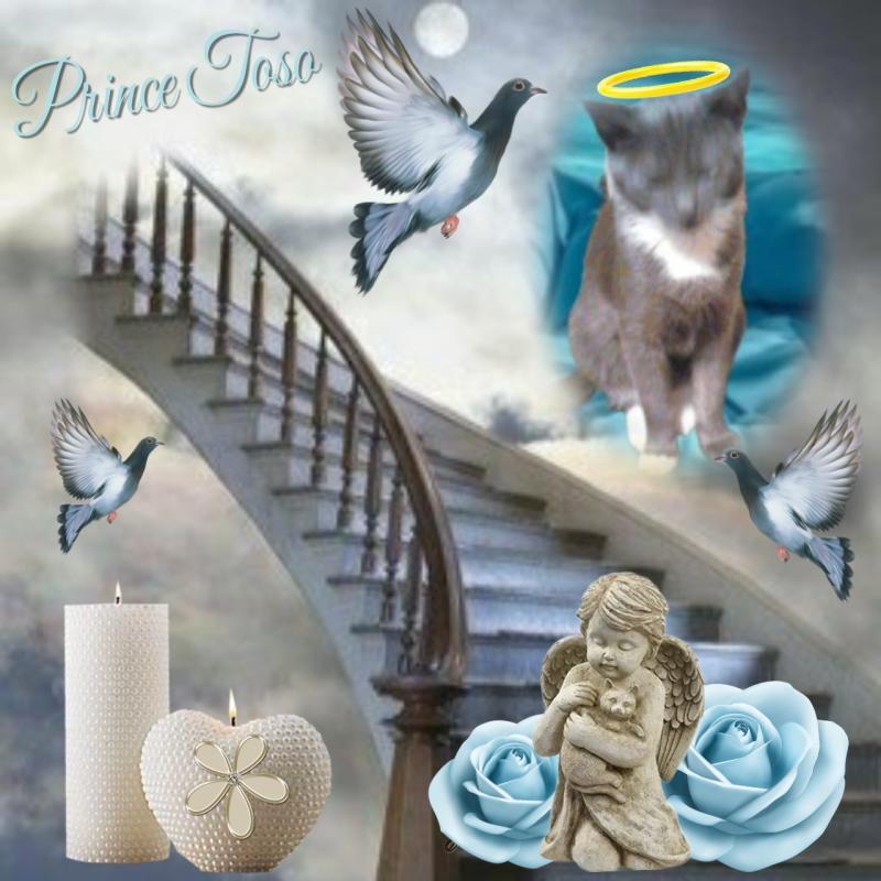 zoza1958 uploaded   33  day/s  ago