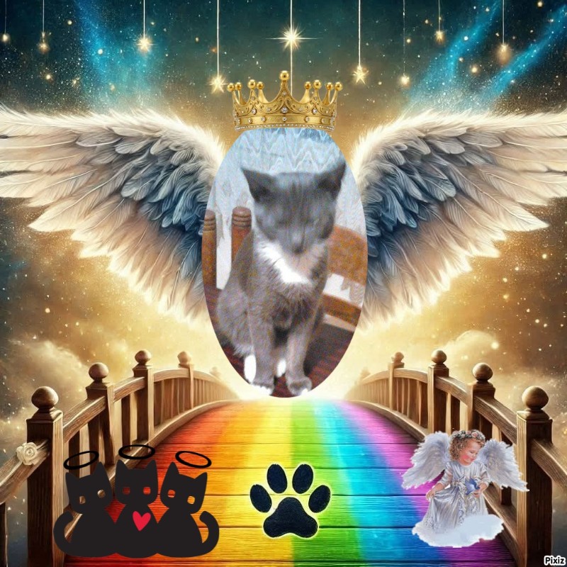 zoza1958 uploaded   33  day/s  ago