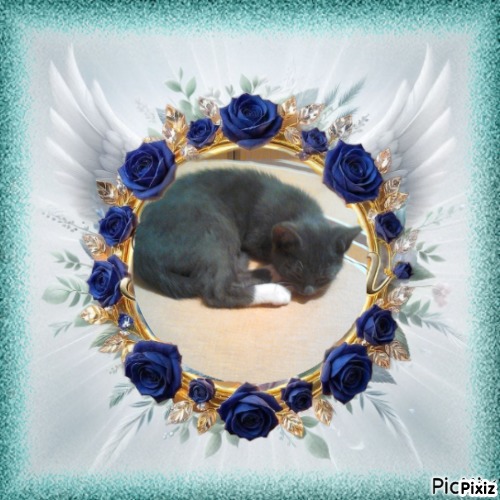 Prince Toso of the zoza1958 family