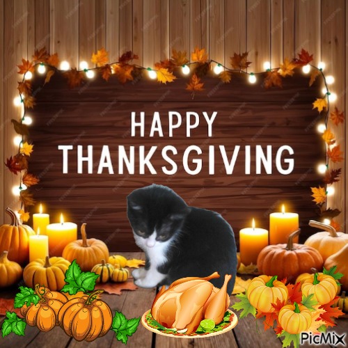 Prince Teo of the zoza1958 family