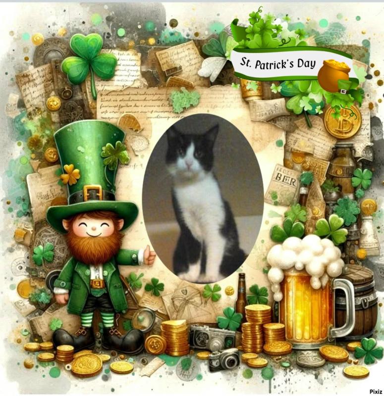 Prince Teo of the zoza1958 family