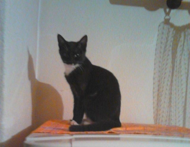 zoza1958 uploaded   212  day/s  ago