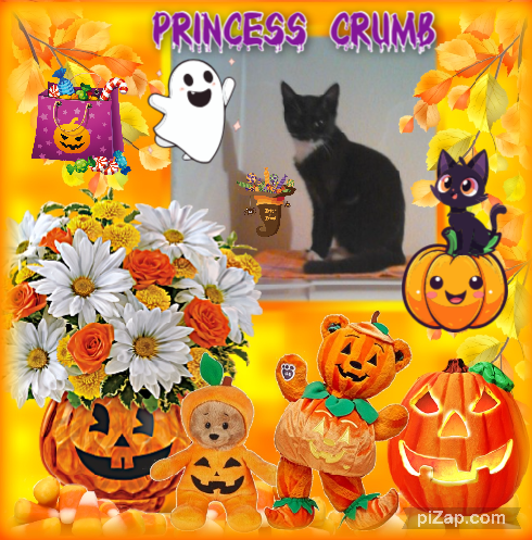 Princess Crumb of the zoza1958 family