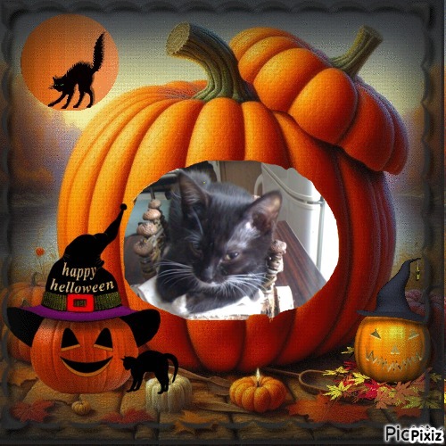 Princess Crumb of the zoza1958 family