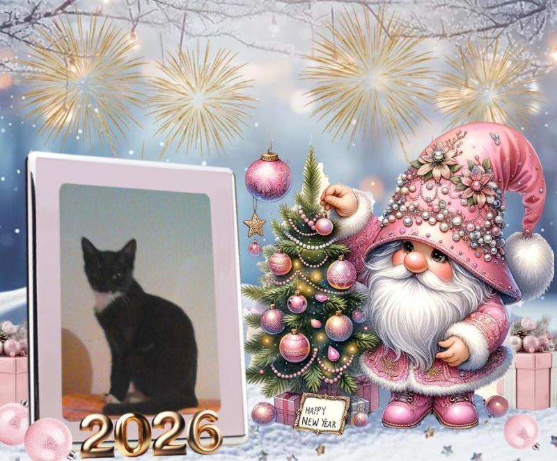 Princess Crumb of the zoza1958 family