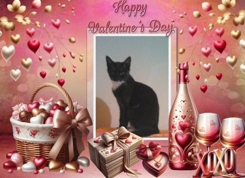 Princess Crumb of the zoza1958 family