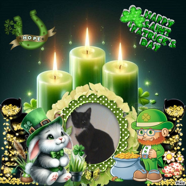 Princess Crumb of the zoza1958 family