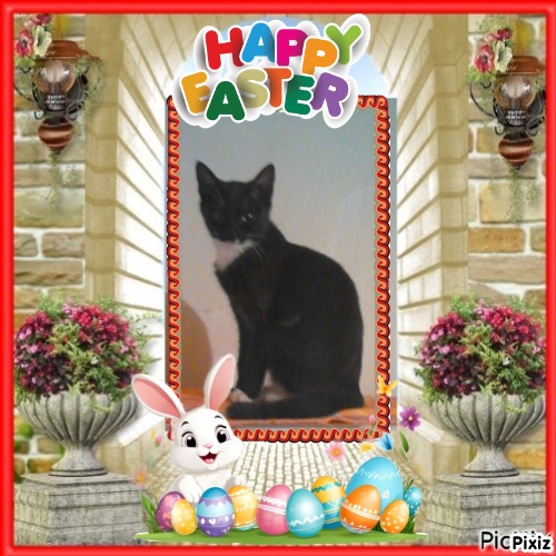 zoza1958 uploaded   6  day/s  ago