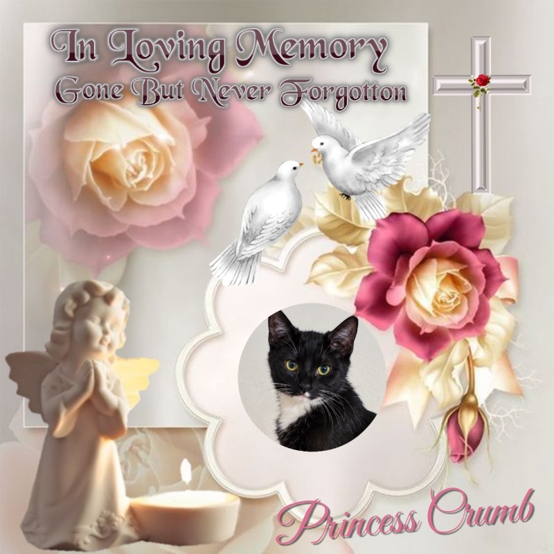 Princess Crumb of the zoza1958 family